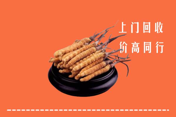 高价求购：达州市宣汉县回收散虫草