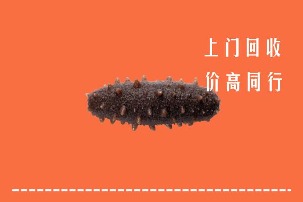 高价求购：达州市宣汉县回收海参