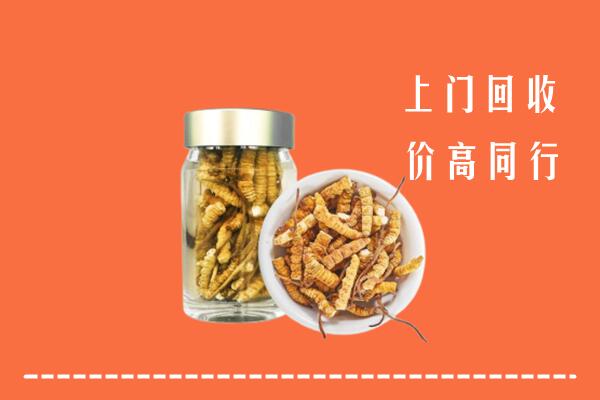 达州市宣汉县回收冬虫夏草